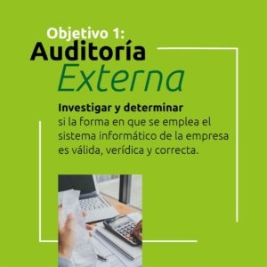objetivos de la auditoria externa en colombia