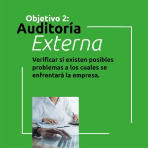 objetivos de la auditoria externa en colombia